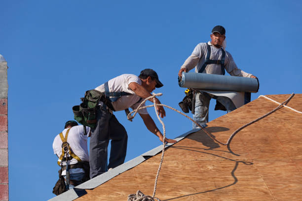 Best Roof Gutter Cleaning  in Davenport, IA