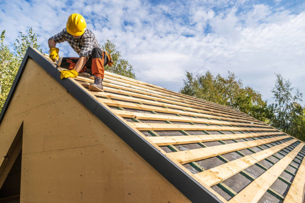 Best Roof Maintenance Services  in Davenport, IA