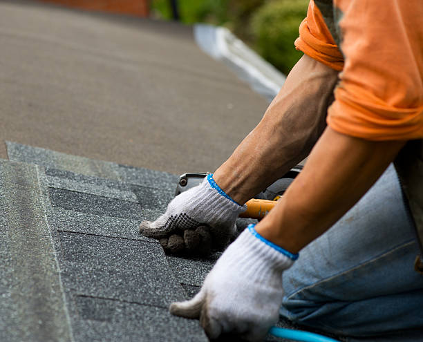 Best Storm Damage Roof Repair  in Davenport, IA
